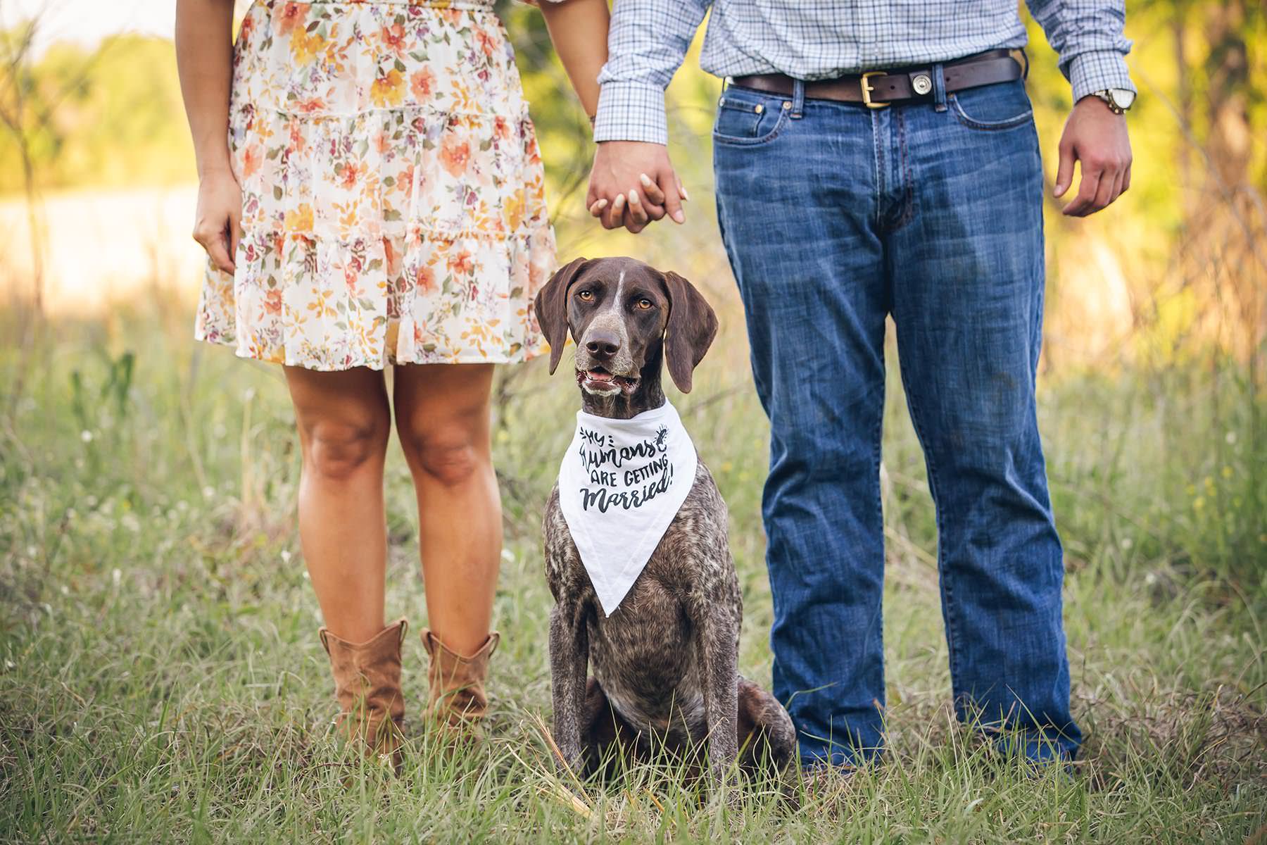dog excited his parents are getting married!
